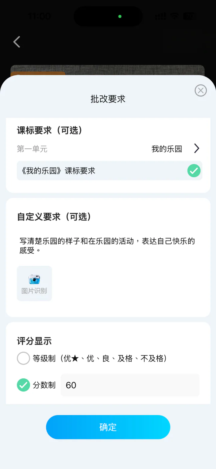 自定义批改要求与分制设置界面